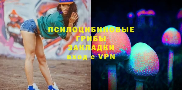прущие крисы Магас