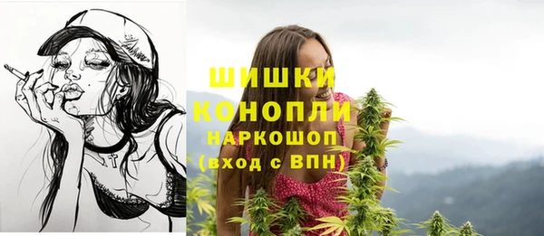 прущие крисы Магас