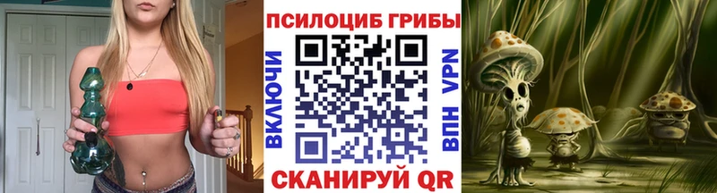 Галлюциногенные грибы Psilocybine cubensis  даркнет сайт  Шарья 